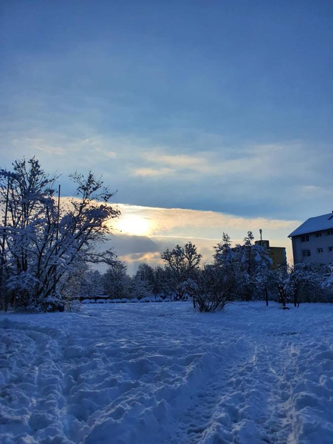 Wohnung Im Schwarzwald Mit Panorama Blick Kleines Wiesental Exteriör bild