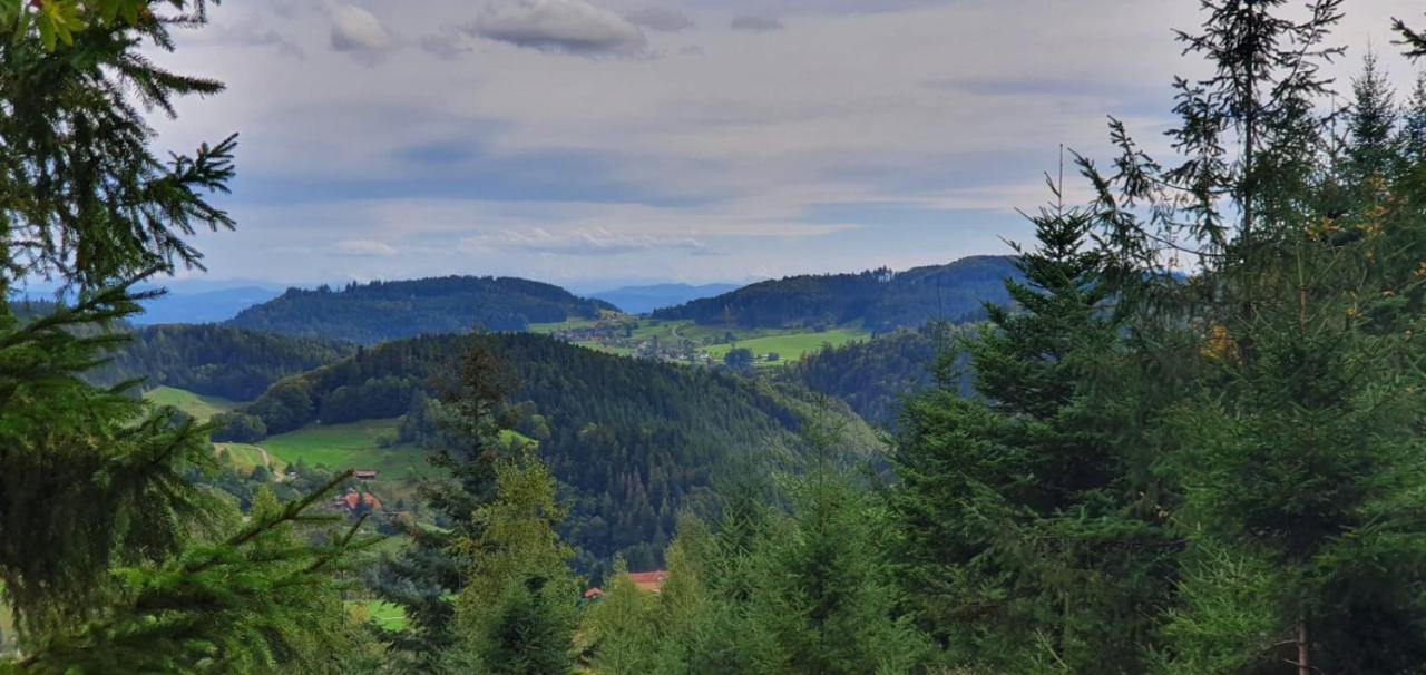 Wohnung Im Schwarzwald Mit Panorama Blick Kleines Wiesental Exteriör bild