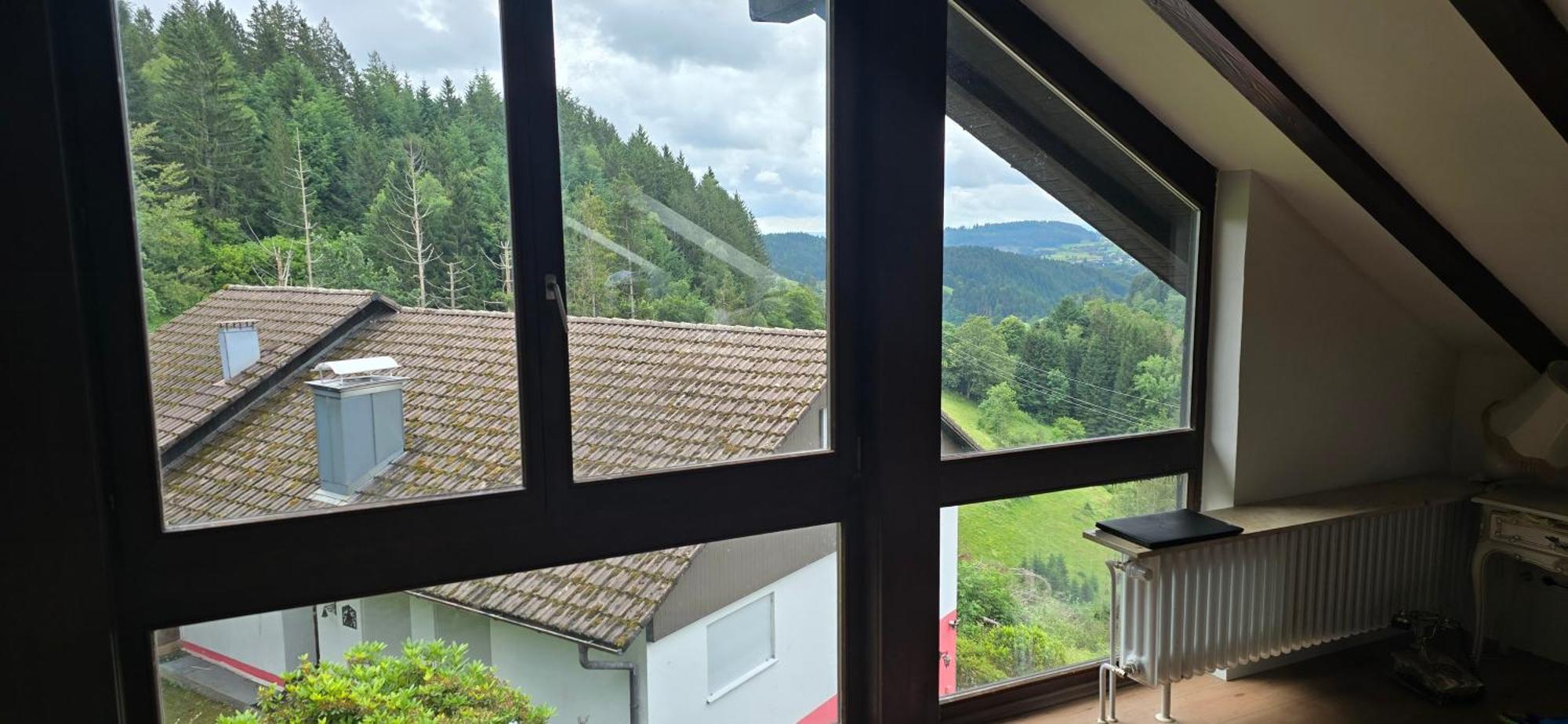 Wohnung Im Schwarzwald Mit Panorama Blick Kleines Wiesental Exteriör bild